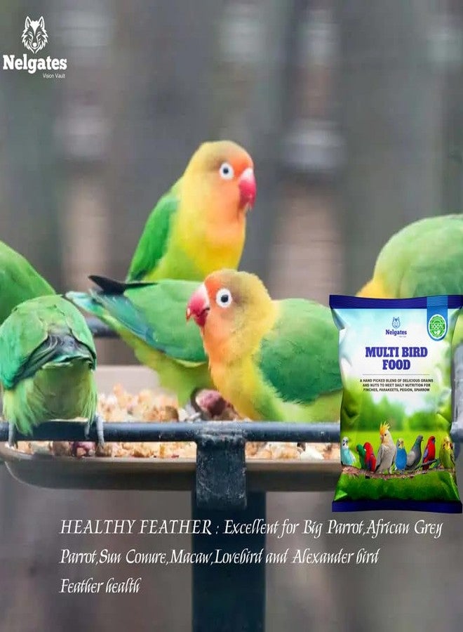 Nelgates Multi Bird Food | Premium Blend for Lovebirds, Cockatiels, Conures, Parrots, Cockatoos & Sparrows | Provides Energy & Essential Support 500g - Image 2